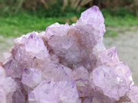 Natural A Grade Sunburst Amethyst Spirit Quartz Cluster x 1 From Boekenhouthoek, South Africa