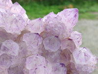 Natural A Grade Sunburst Amethyst Spirit Quartz Cluster x 1 From Boekenhouthoek, South Africa