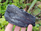 Natural Mixed Namibian Schorl Black Tourmaline Specimens x 4 From Khorigas and Erongo, Namibia - Toprock Gemstones and Minerals 