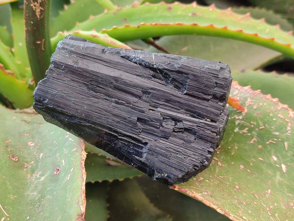 Natural Mixed Namibian Schorl Black Tourmaline Specimens x 4 From Khorigas and Erongo, Namibia - Toprock Gemstones and Minerals 