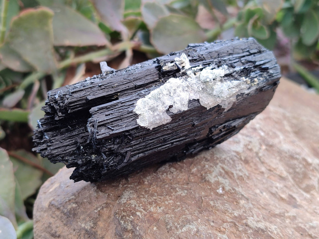 Natural Mixed Namibian Schorl Black Tourmaline Specimens x 4 From Khorigas and Erongo, Namibia - Toprock Gemstones and Minerals 