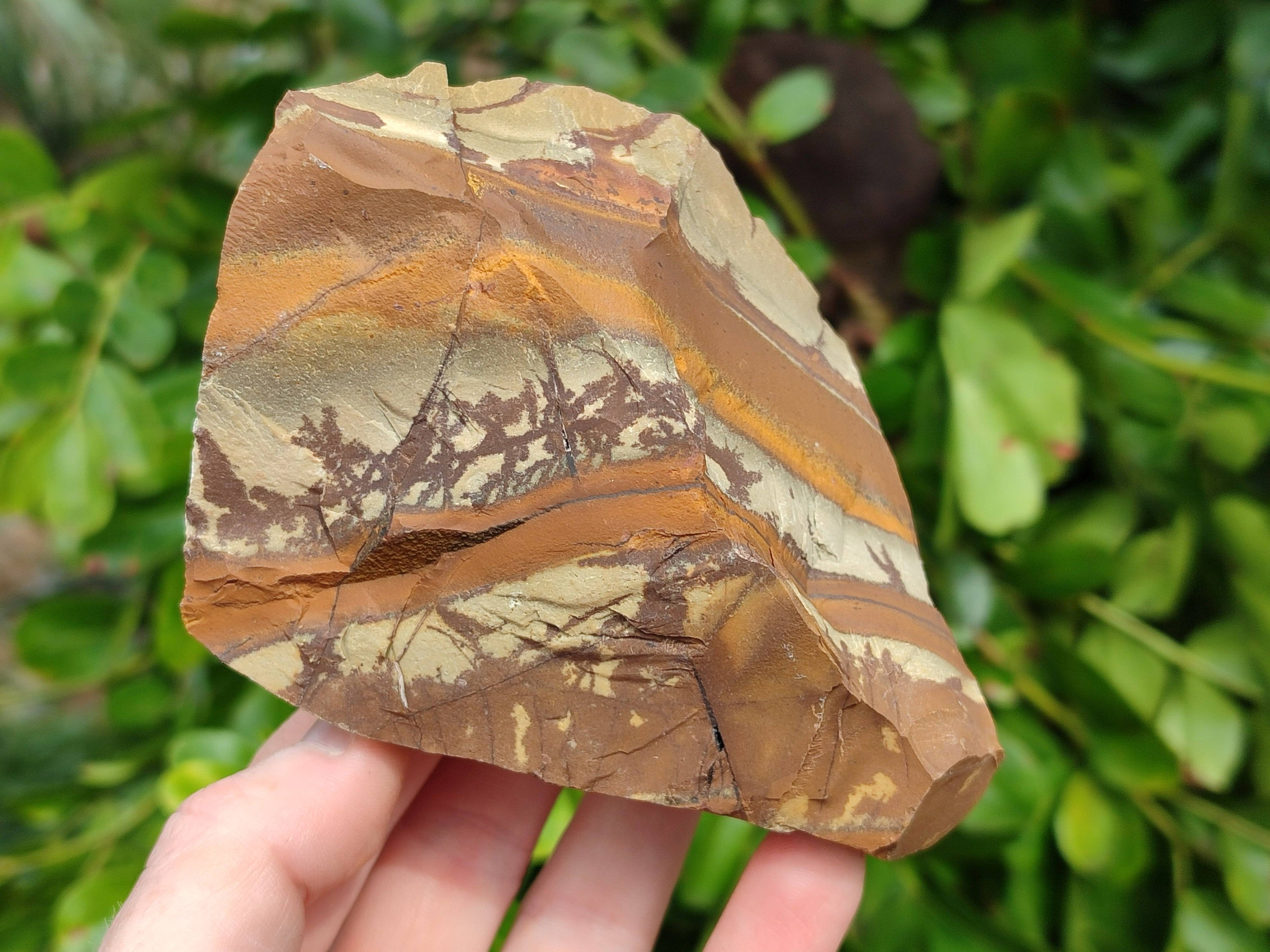 Natural Selected Nguni Jasper Cobbed Specimens x 6 From Prieska, South Africa - Toprock Gemstones and Minerals 