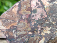 Natural Selected Nguni Jasper Cobbed Specimens x 6 From Prieska, South Africa