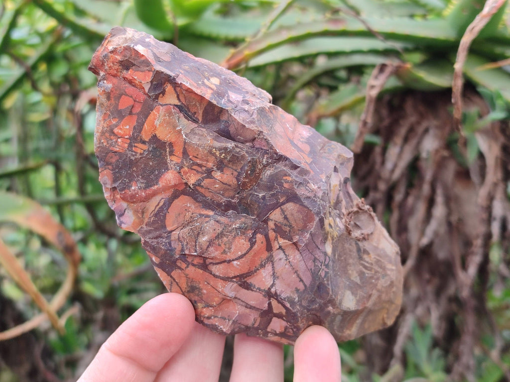 Natural Selected Nguni Jasper Cobbed Specimens x 6 From Prieska, South Africa - Toprock Gemstones and Minerals 
