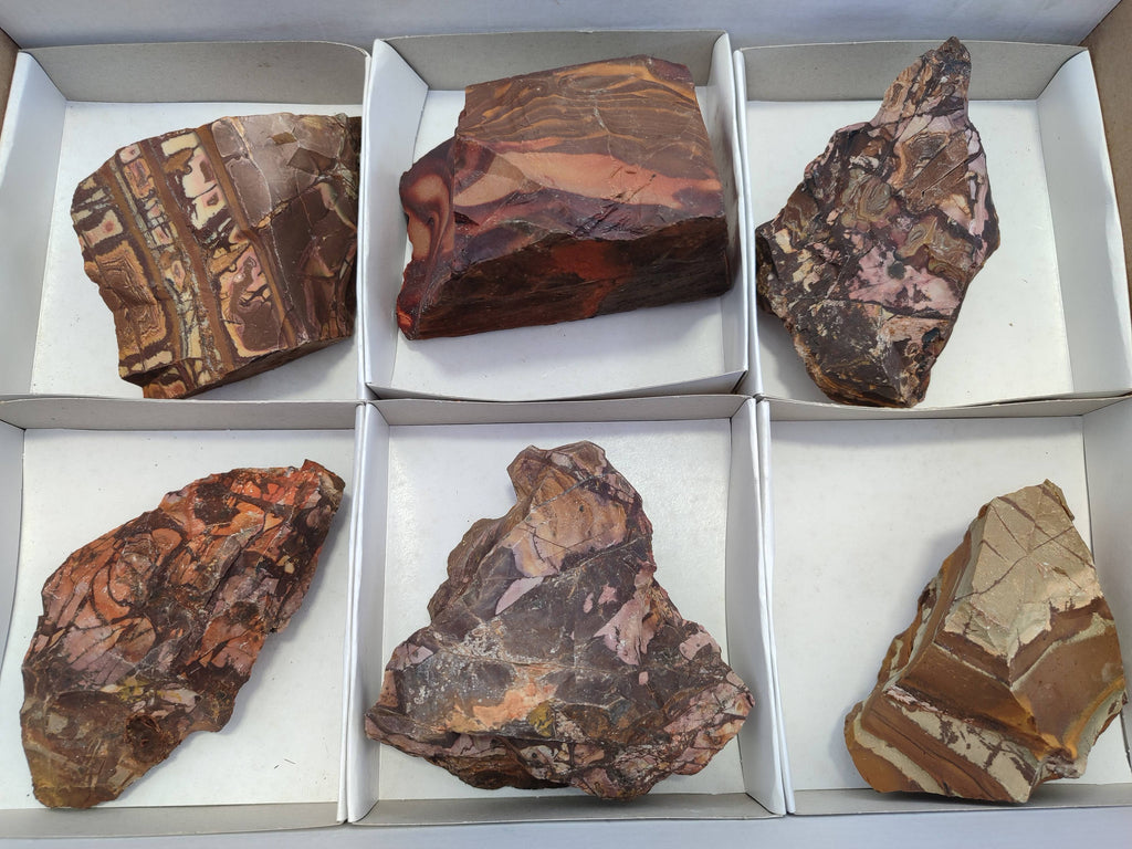 Natural Selected Nguni Jasper Cobbed Specimens x 6 From Prieska, South Africa - Toprock Gemstones and Minerals 