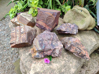 Natural Selected Nguni Jasper Cobbed Specimens x 6 From Prieska, South Africa