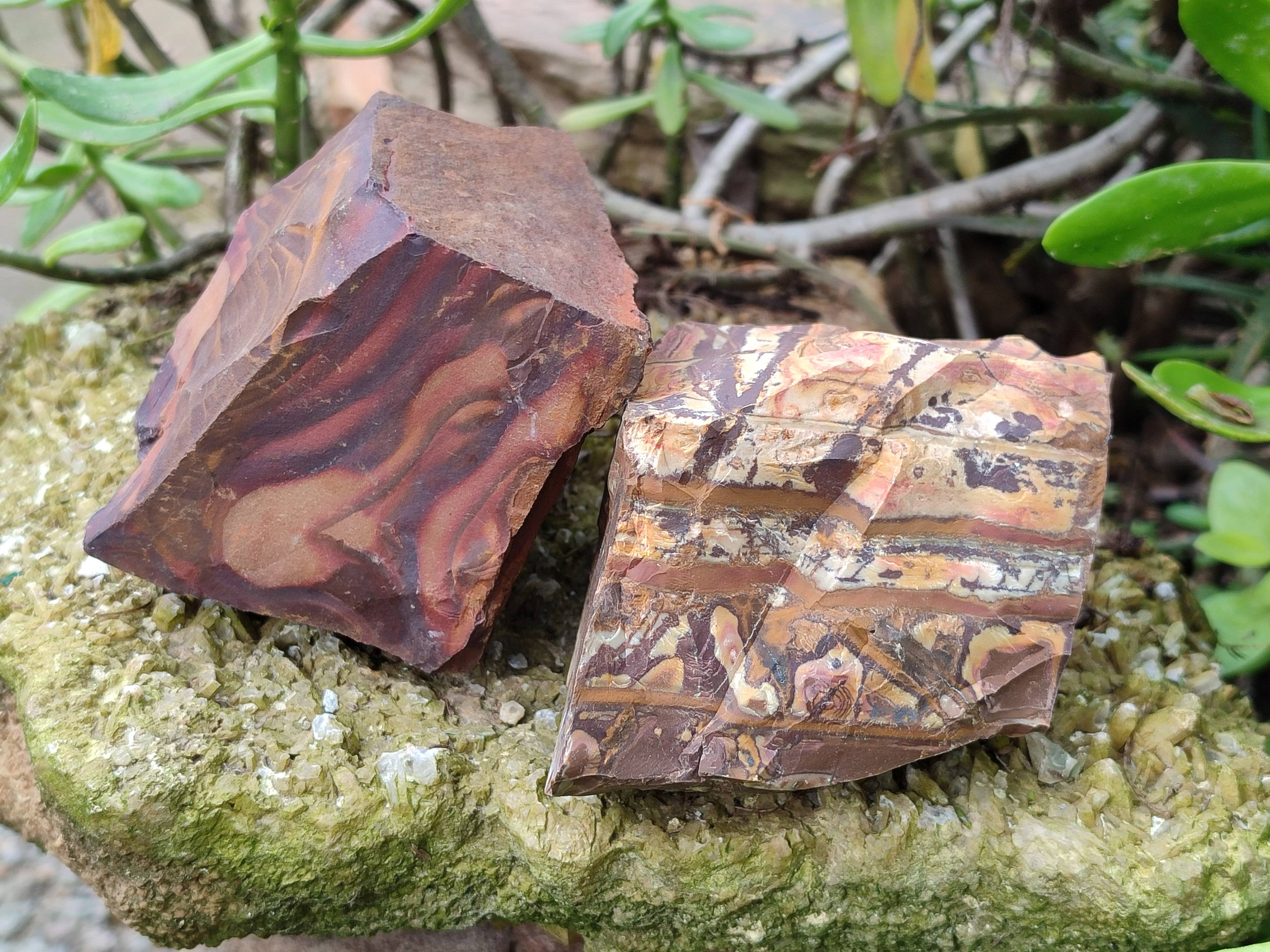 Natural Selected Nguni Jasper Cobbed Specimens x 6 From Prieska, South Africa - Toprock Gemstones and Minerals 