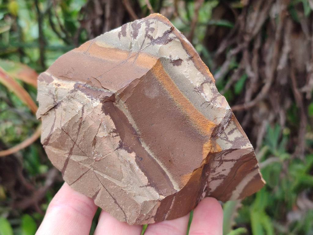 Natural Selected Nguni Jasper Cobbed Specimens x 6 From Prieska, South Africa - Toprock Gemstones and Minerals 