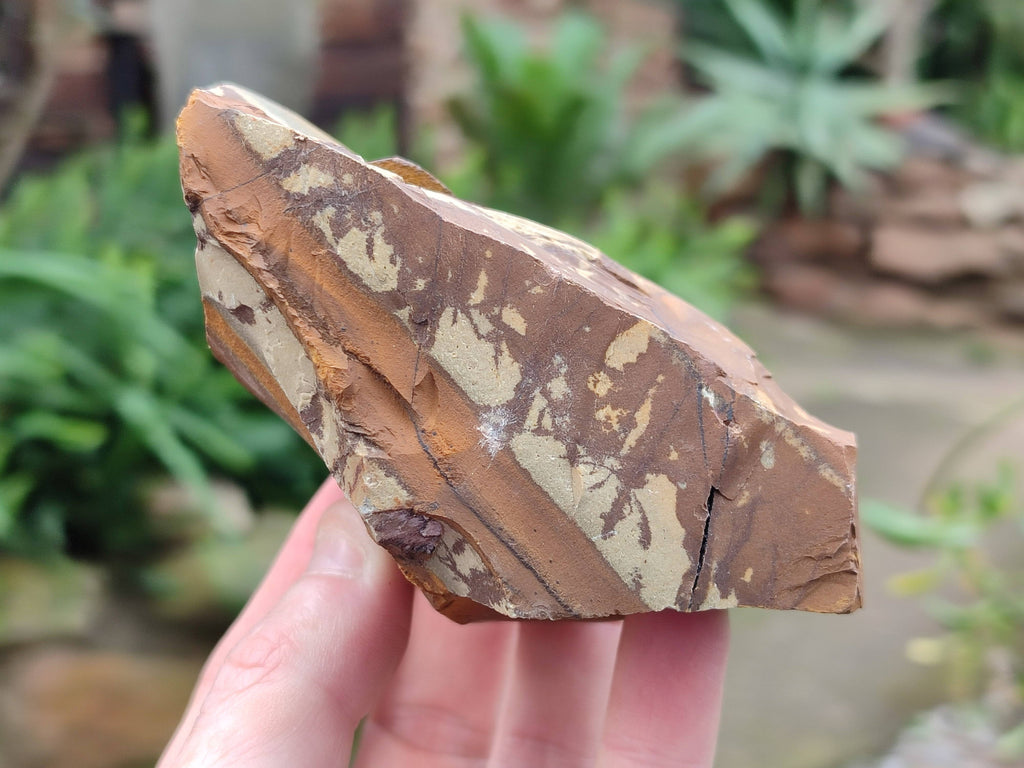 Natural Selected Nguni Jasper Cobbed Specimens x 6 From Prieska, South Africa - Toprock Gemstones and Minerals 