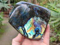 Polished Labradorite Standing Free Forms x 2 From Tulear, Madagascar - Toprock Gemstones and Minerals 