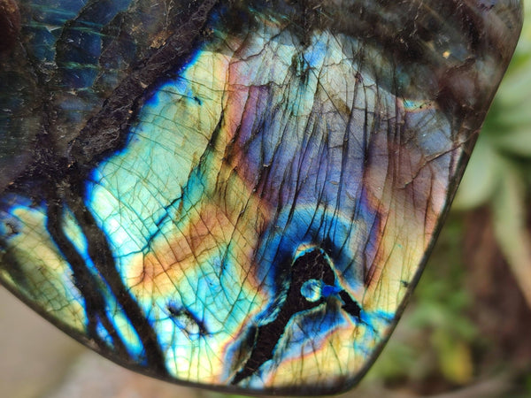 Polished Labradorite Standing Free Forms x 2 From Tulear, Madagascar - Toprock Gemstones and Minerals 