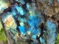 Polished Labradorite Standing Free Forms x 2 From Tulear, Madagascar - Toprock Gemstones and Minerals 