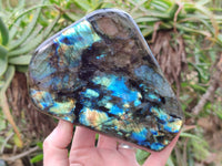 Polished Labradorite Standing Free Forms x 2 From Tulear, Madagascar - Toprock Gemstones and Minerals 
