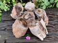 Polished on One Side Petrified Wood Branch Pieces x 6 From Gokwe, Zimbabwe - Toprock Gemstones and Minerals 