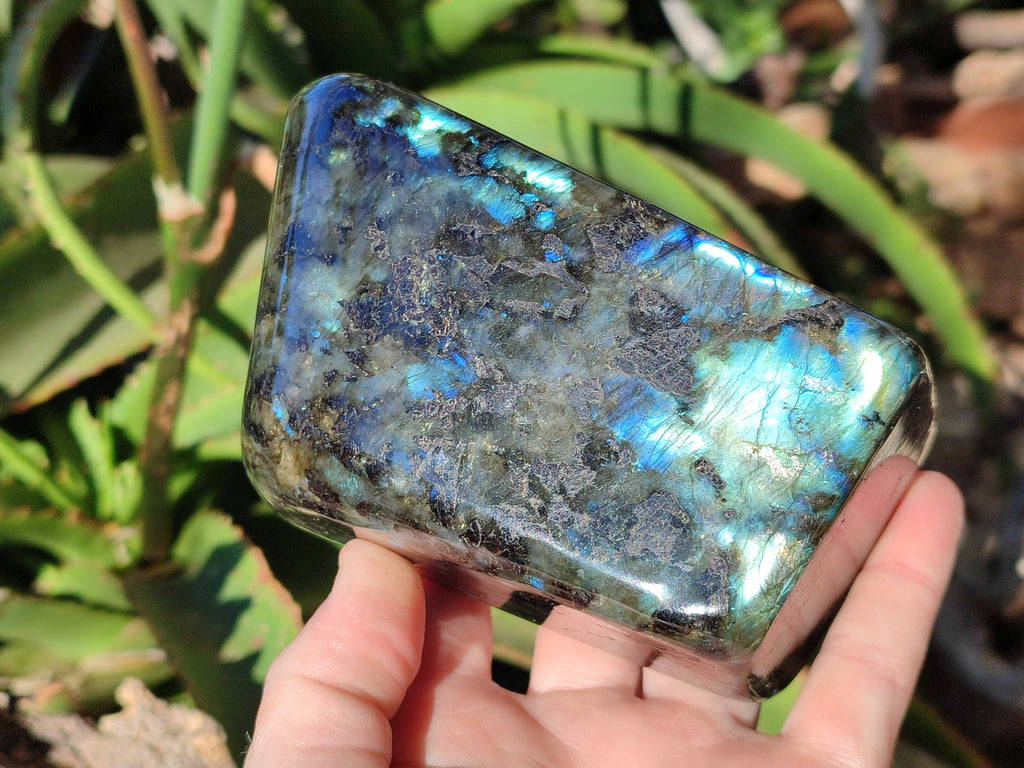 Polished Labradorite Standing Free Forms x 2 From Tulear, Madagascar - Toprock Gemstones and Minerals 