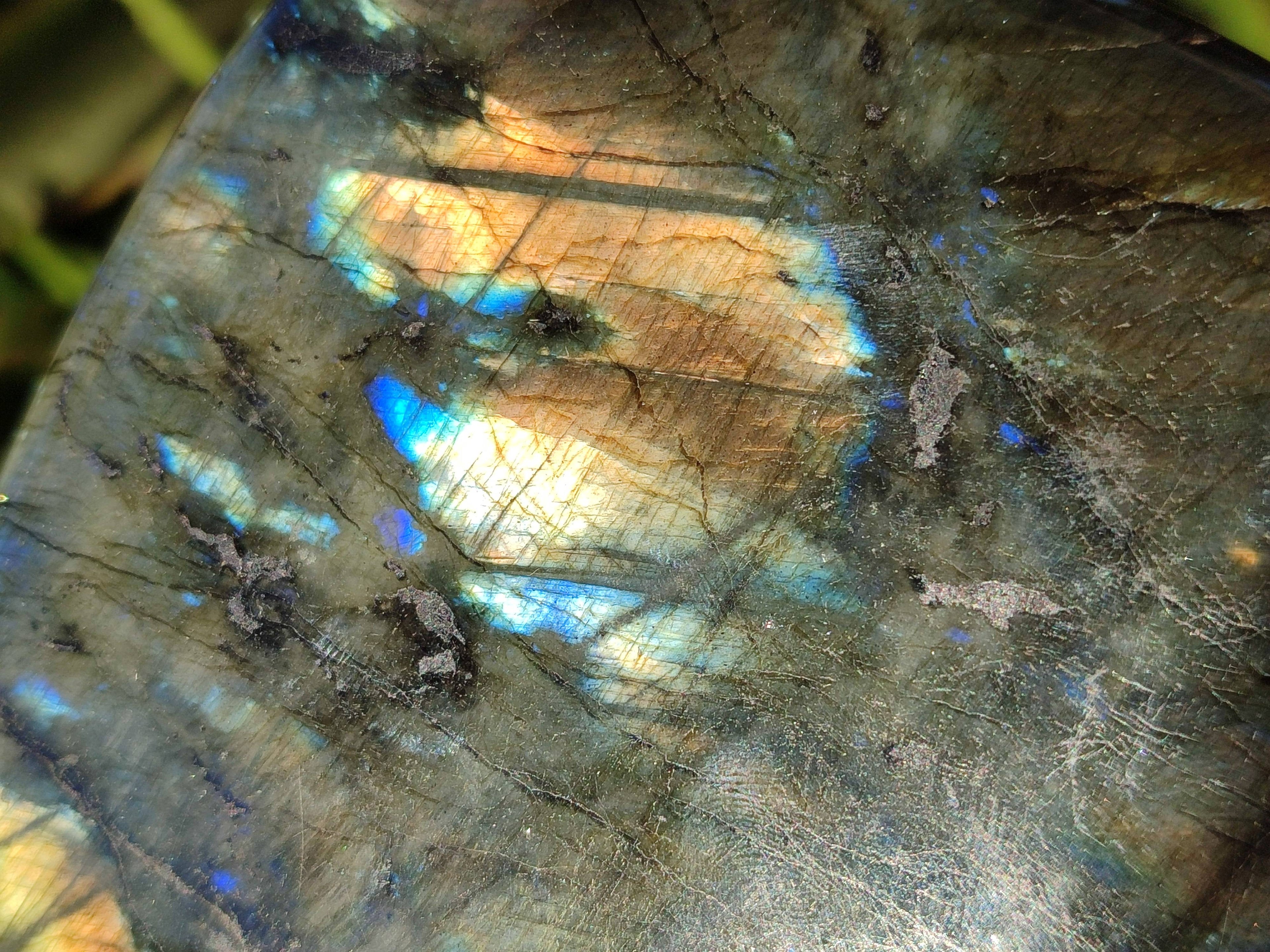 Polished Labradorite Standing Free Forms x 2 From Tulear, Madagascar - Toprock Gemstones and Minerals 