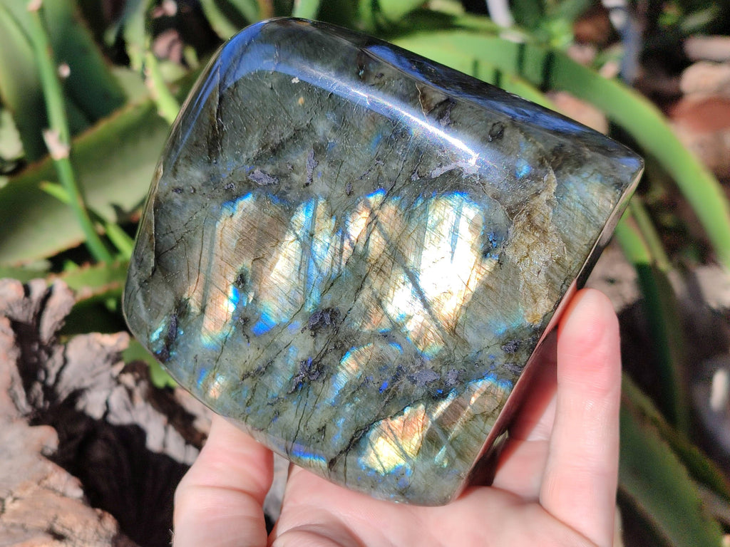Polished Labradorite Standing Free Forms x 2 From Tulear, Madagascar - Toprock Gemstones and Minerals 