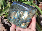 Polished Labradorite Standing Free Forms x 2 From Tulear, Madagascar - Toprock Gemstones and Minerals 