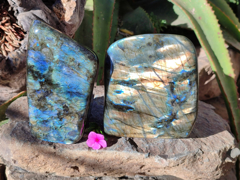 Polished Labradorite Standing Free Forms x 2 From Tulear, Madagascar - Toprock Gemstones and Minerals 