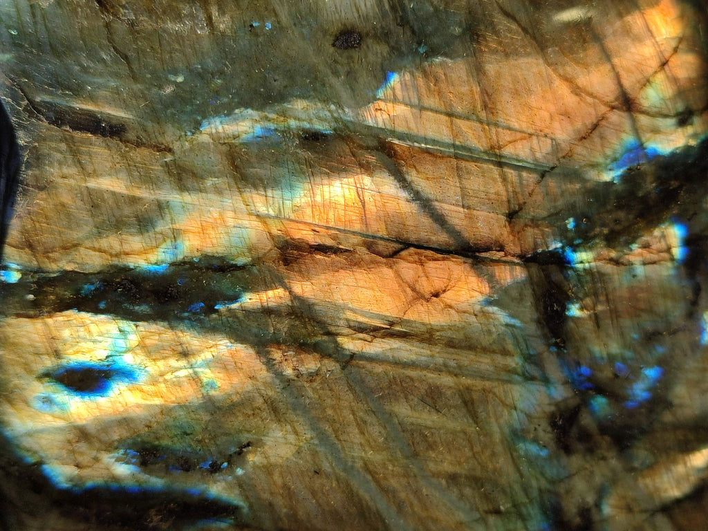 Polished Labradorite Standing Free Forms x 2 From Tulear, Madagascar - Toprock Gemstones and Minerals 