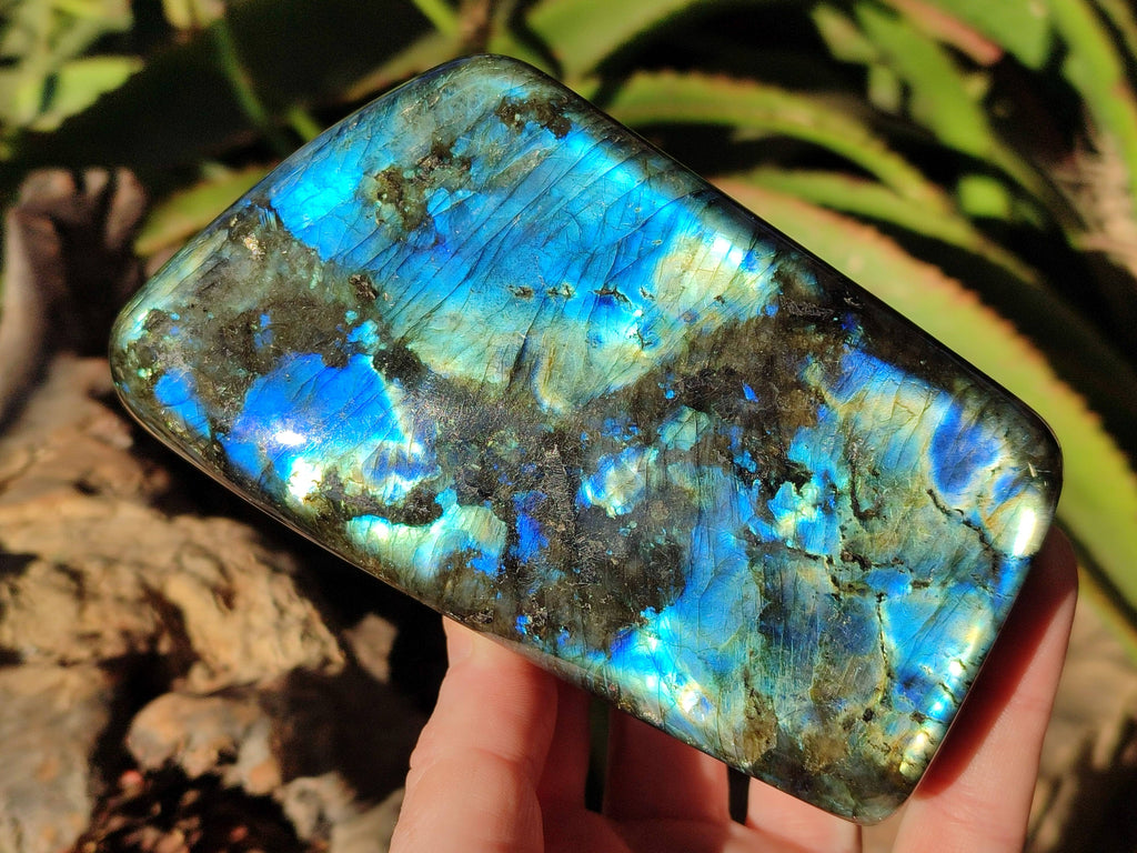 Polished Labradorite Standing Free Forms x 2 From Tulear, Madagascar - Toprock Gemstones and Minerals 