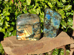 Polished Labradorite Standing Free Forms x 2 From Tulear, Madagascar - Toprock Gemstones and Minerals 