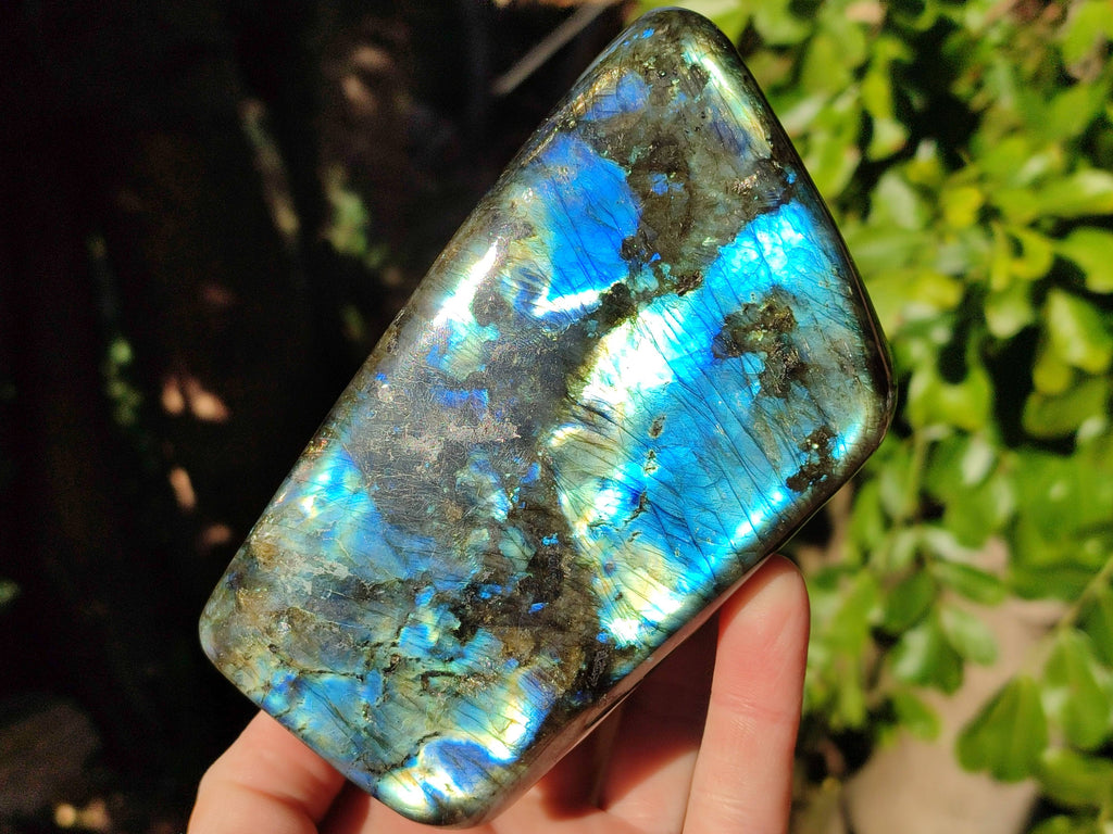 Polished Labradorite Standing Free Forms x 2 From Tulear, Madagascar - Toprock Gemstones and Minerals 