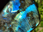 Polished Labradorite Standing Free Forms x 2 From Tulear, Madagascar - Toprock Gemstones and Minerals 