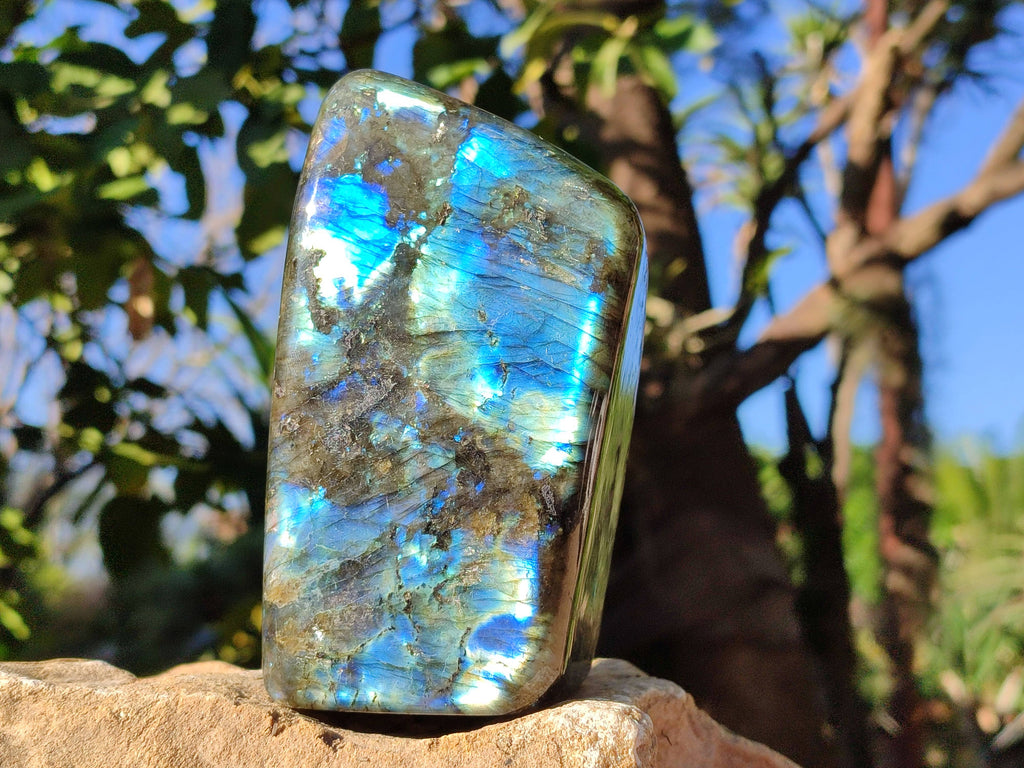 Polished Labradorite Standing Free Forms x 2 From Tulear, Madagascar - Toprock Gemstones and Minerals 