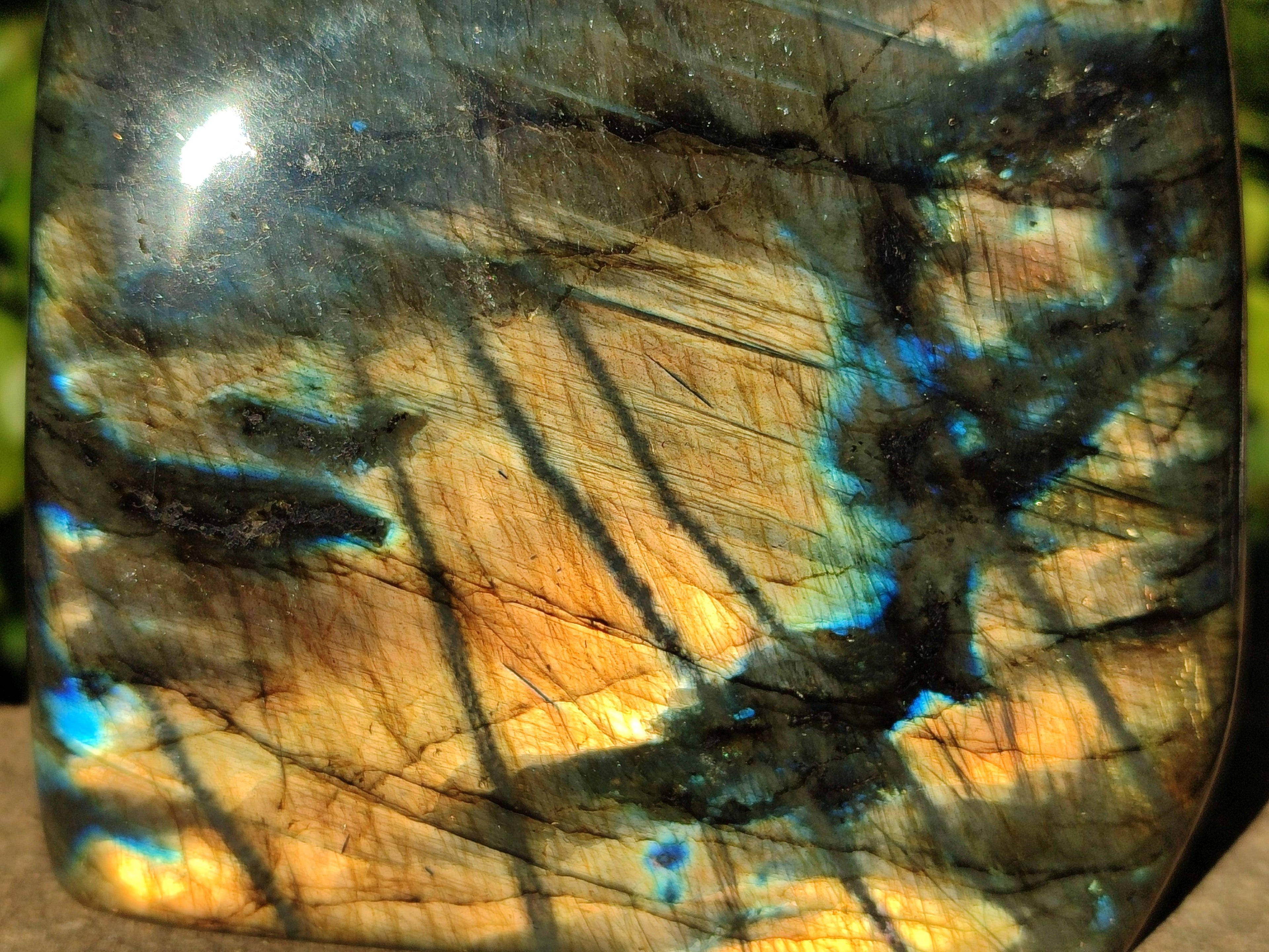 Polished Labradorite Standing Free Forms x 2 From Tulear, Madagascar - Toprock Gemstones and Minerals 