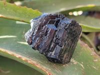 Natural Schorl Black Tourmaline, Smokey Quartz with some Hyalite Opal x 12 From Erongo, Namibia