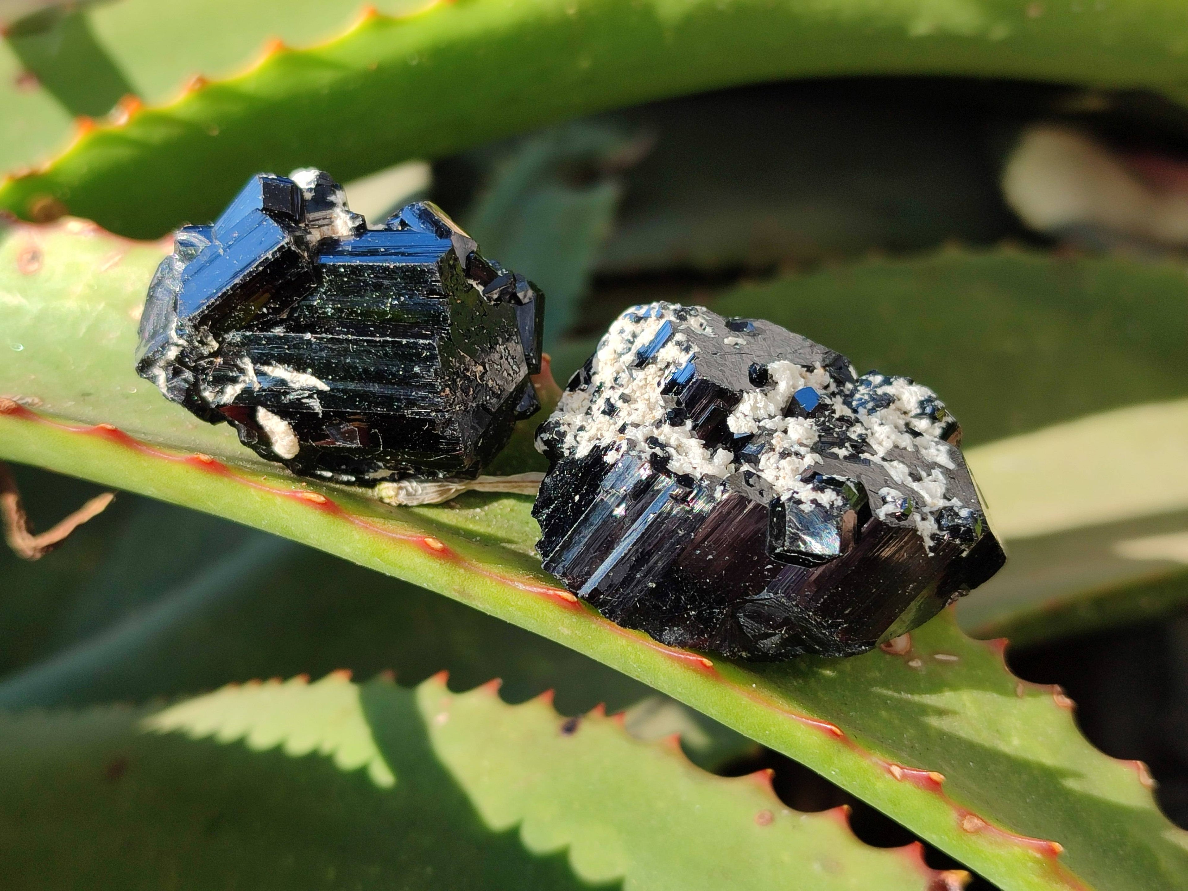 Natural Schorl Black Tourmaline, Smokey Quartz with some Hyalite Opal x 12 From Erongo, Namibia - Toprock Gemstones and Minerals 