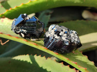 Natural Schorl Black Tourmaline, Smokey Quartz with some Hyalite Opal x 12 From Erongo, Namibia