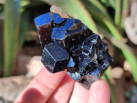 Natural Schorl Black Tourmaline, Smokey Quartz with some Hyalite Opal x 12 From Erongo, Namibia