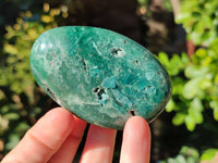 Polished Emerald Mtorolite Palm Stones x 6 From Mutorashanga, Zimbabwe
