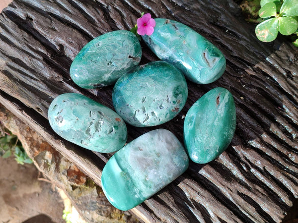 Polished Emerald Mtorolite Palm Stones x 6 From Mutorashanga, Zimbabwe