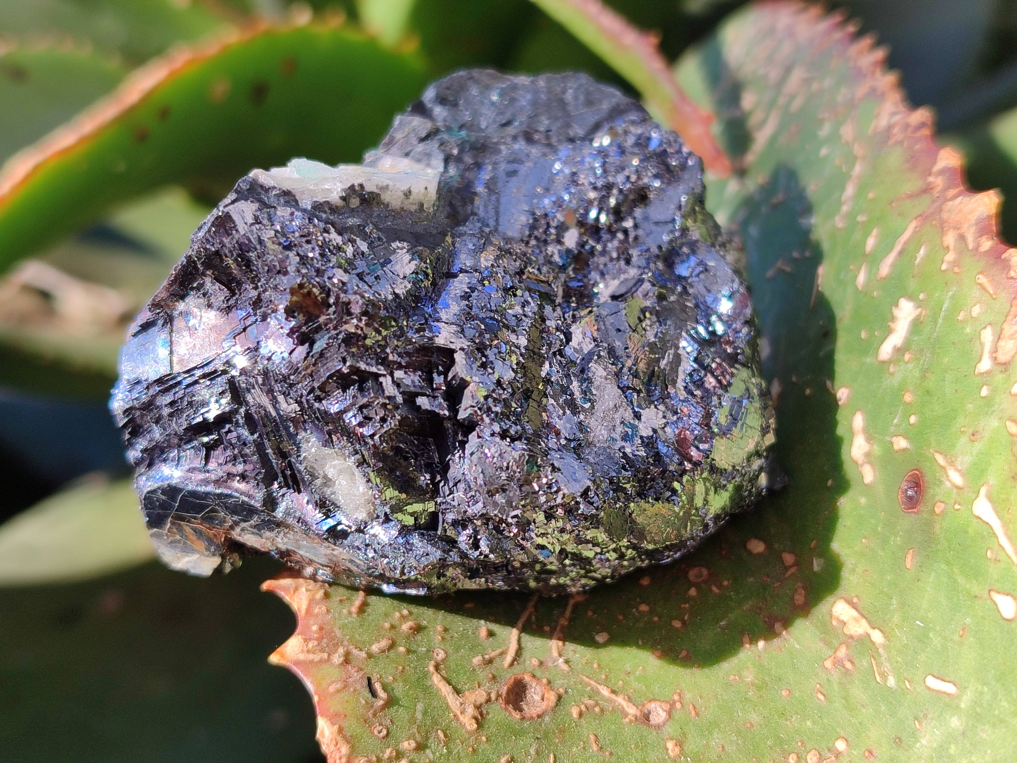 Natural Silver Lead Galena Specimens x 6 From Namibia - Toprock Gemstones and Minerals 