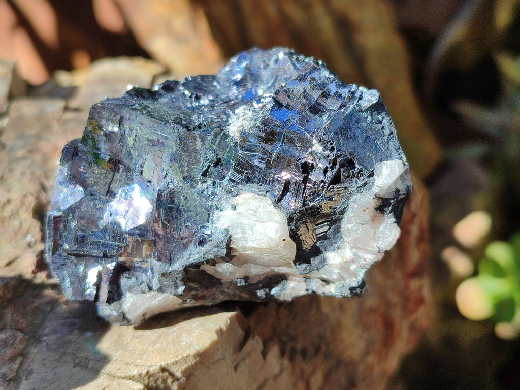 Natural Silver Lead Galena Specimens x 6 From Namibia - Toprock Gemstones and Minerals 