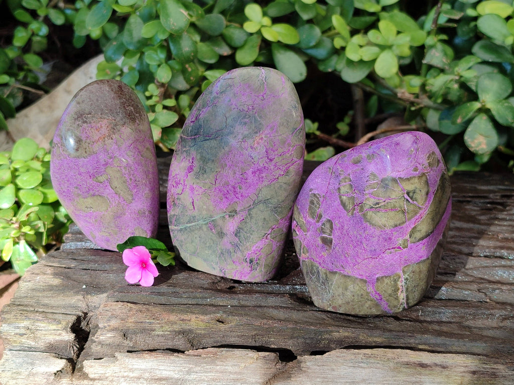 Polished Stichtite Standing Free Forms x 3 From Barberton, South Africa - Toprock Gemstones and Minerals 