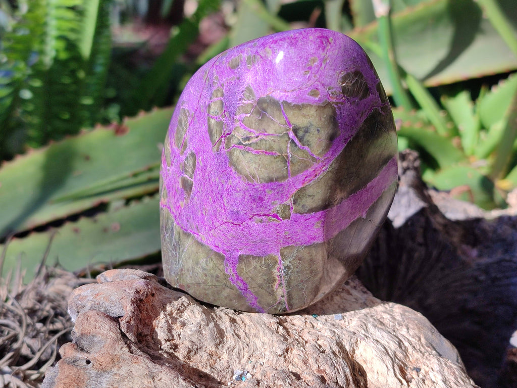 Polished Stichtite Standing Free Forms x 3 From Barberton, South Africa - Toprock Gemstones and Minerals 