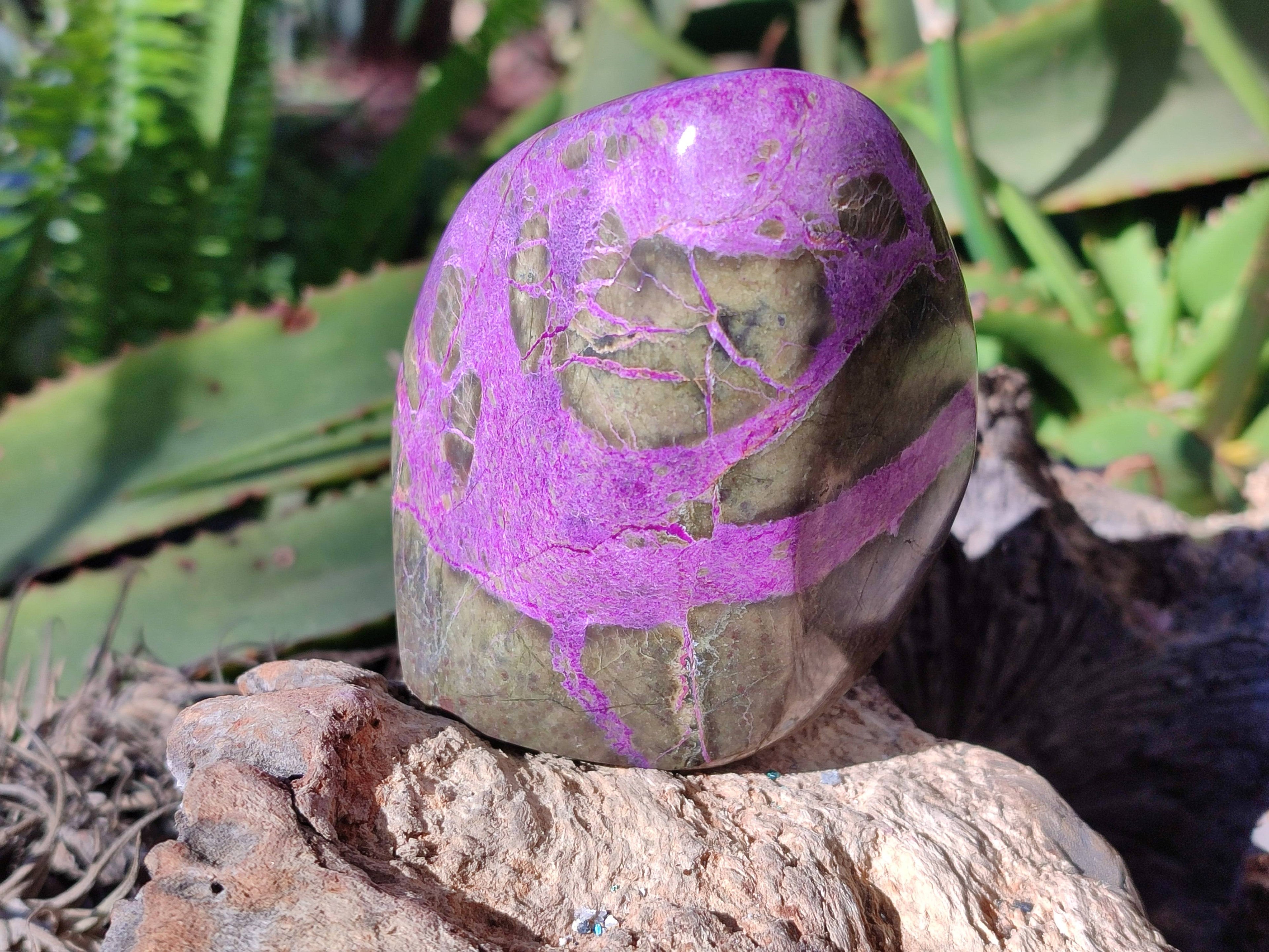 Polished Stichtite Standing Free Forms x 3 From Barberton, South Africa - Toprock Gemstones and Minerals 