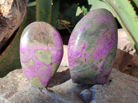 Polished Stichtite Standing Free Forms x 3 From Barberton, South Africa
