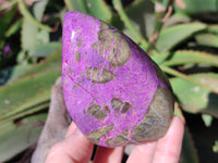 Polished Stichtite Standing Free Forms x 3 From Barberton, South Africa