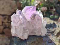 Natural Jacaranda Amethyst Quartz Clusters x 6 From Mumbwa, Zambia