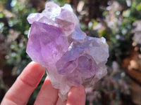 Natural Jacaranda Amethyst Quartz Clusters x 6 From Mumbwa, Zambia