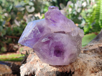 Natural Jacaranda Amethyst Quartz Clusters x 6 From Mumbwa, Zambia
