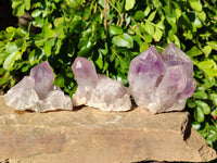 Natural Jacaranda Amethyst Quartz Clusters x 6 From Mumbwa, Zambia