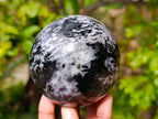 Polished Gabbro Merlinite Spheres x 3 From Ambatofinandrahana, Madagascar - Toprock Gemstones and Minerals 