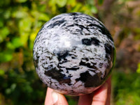 Polished Gabbro Merlinite Spheres x 3 From Ambatofinandrahana, Madagascar