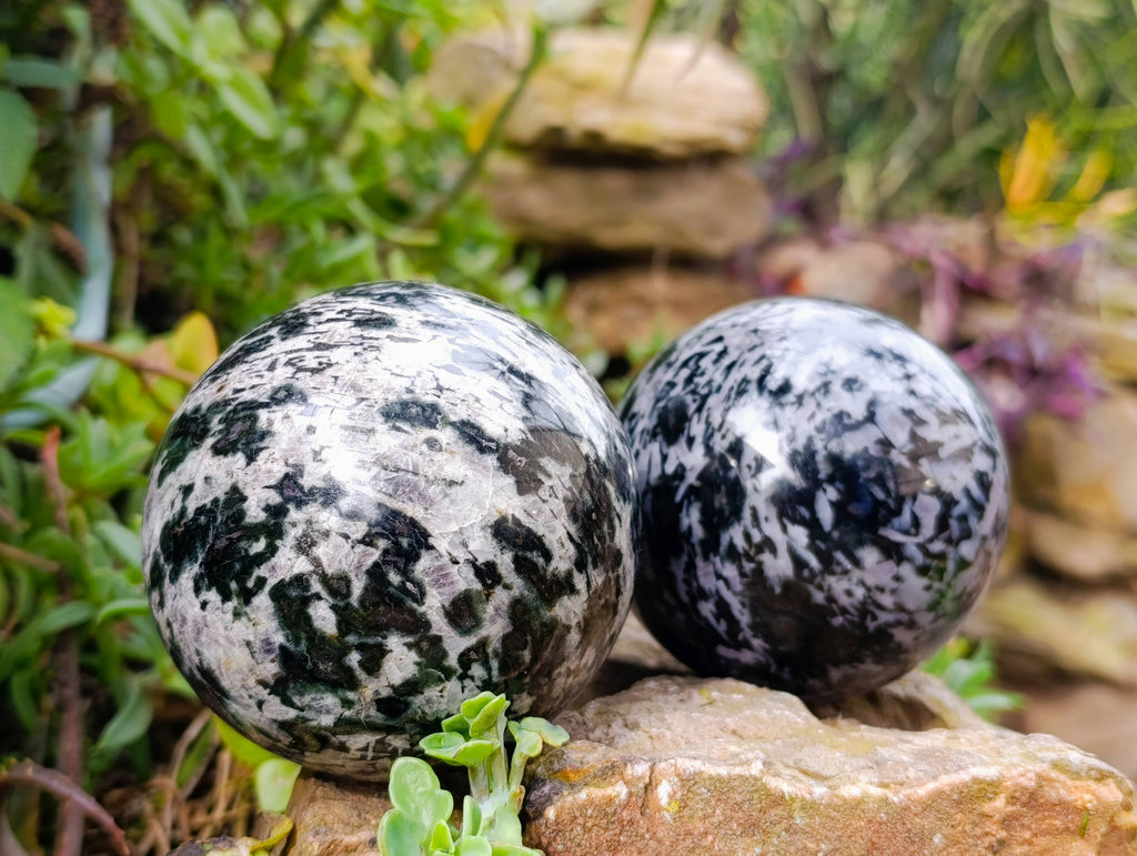 Polished Gabbro Merlinite Spheres x 3 From Ambatofinandrahana, Madagascar - Toprock Gemstones and Minerals 